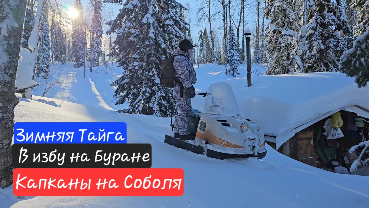 В избу на буране / Проверка путика / Охота на соболя / Зимняя тайга ...