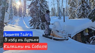 В избу на буране / Проверка путика / Охота на соболя / Зимняя тайга