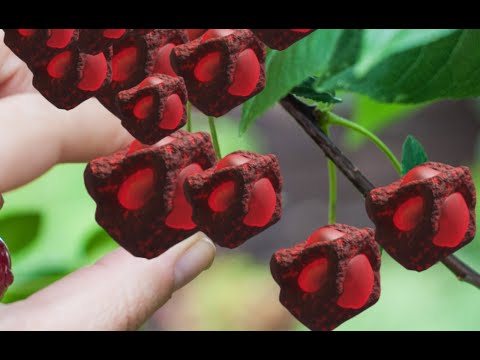 Cherry Picking | Starscape