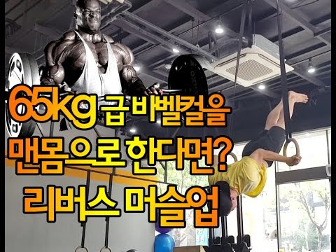 <strong>Reverse</strong> Muscle Up aka Inverted Muscle up or elevator 리버스 머슬업, 엘레베이터