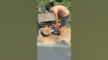 Tét cưa mini tay cụt cho 2 vợ chồng về khai thác quế và cắt củi 0987295266#cuaxang#cuataycut