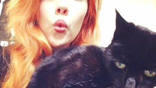 The Ol Weird Cat
