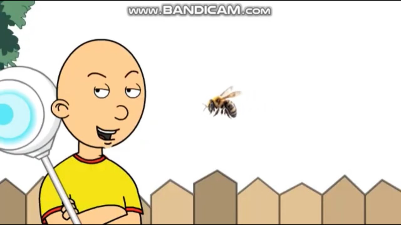 Caillou Turns Rosie Into A Bee/Grounded - YouTube
