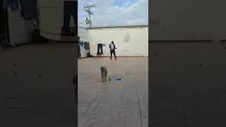 Minha vida é um enredo repleto de reviravoltas e a determinação é o fio condutor... #pósAVC