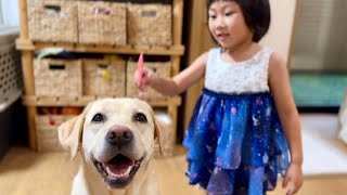 ゴンとオシャレを楽しみたいユウ。そして見事に交わすサンであった