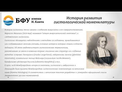 Видео: Какое из следующих слов является формой множественного числа fornix?