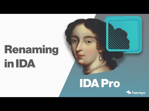 Renaming in IDA
