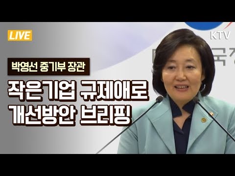 작은 기업 규제애로 개선안 중소벤처기업부 브리핑