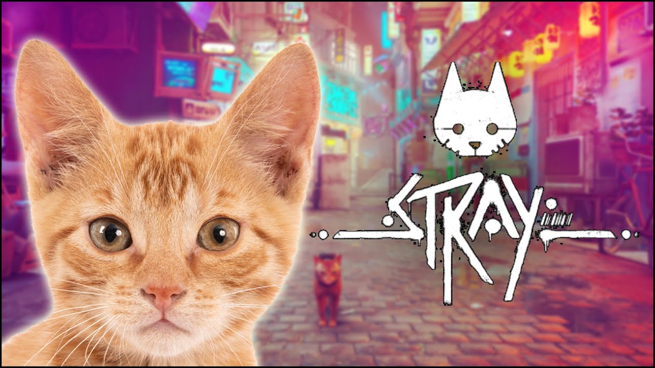 STRAY Gameplay Part 8 (MidTown) | No Commentary | TANGOBHAI.COM