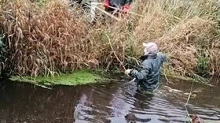 Lille Å Med Store Ørreder