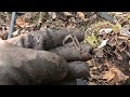 Ep 155 Bouncing around trying to find a metal detecting spot.  #metaldetecting #treasure #minelab