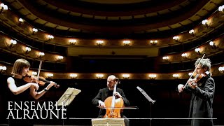 BEETHOVEN | String Trio in D major Op.9 No.2 | "Andante quasi allegretto"