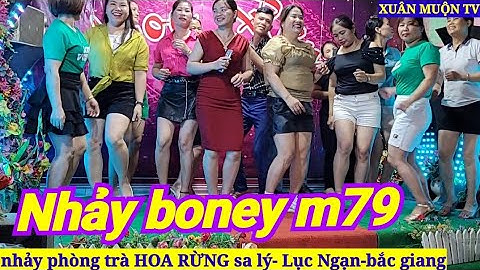 nhảy boney 79 phòng trà HOA RỪNG toàn gái xinh nhạc thịnh hành nhất hiện nay