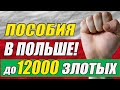 ВНИМАНИЕ! Пособия в Польше для беженцев из Украины!