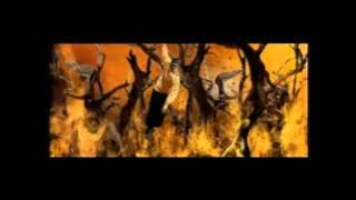 Wu-Tang Clan - Triumph (HD) Best Quality!