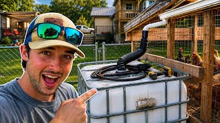     I Built a Rainwater Collection System for My Chickens 