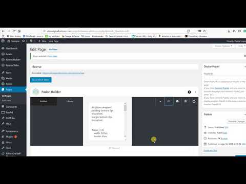 How to add custom CSS in Avada theme.
