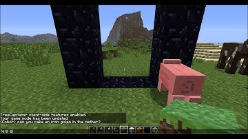 Can you make an Iron Golem in the Nether?