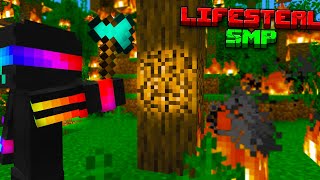 I Removed Every Tree on Lifesteal SMP... kinda