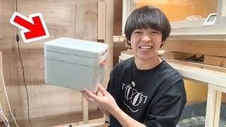 衝撃的な生き物がいたので...お迎えしました