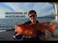 МОРСКАЯ РЫБАЛКА  / SEAFISHING IN MONTENEGRO