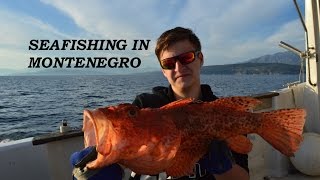 МОРСКАЯ РЫБАЛКА / SEAFISHING IN MONTENEGRO