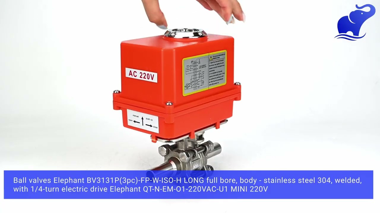 Elephant BV3131P Ball Valve SS304 | 220V MINI Electric Drive