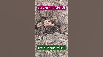 Power of Unity 💪 💪#viral #shorts #tranding