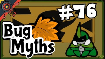Bug Fables Myth #76: Sleepy Blocking