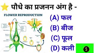 GK question and answer in Hindi ||gk in hindi || general knowledge|| gk questions || computer gk