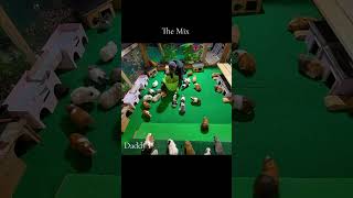 The Mix 🪣 Daddy p ❤️ #viral #guineapig #trending #shorts #youtubeshorts #fyp #video #ytshorts #cute