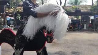 Kuda Kepang Singapura