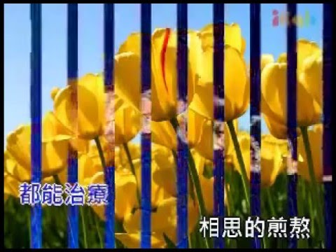 戒不掉(庾澄慶)翻唱
