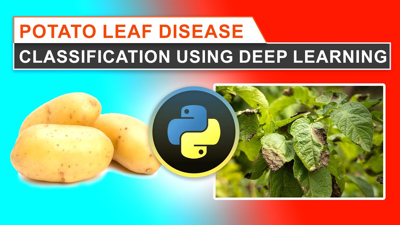 Potato Leaf Disease Classification Using a Deep Learning Approach - YouTube