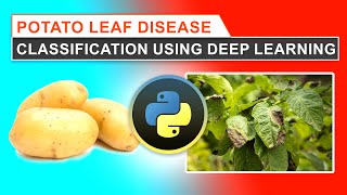 Potato Leaf Disease Classification Using a Deep Learning Approach screenshot 5
