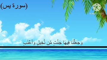 اكتب شيء تؤجر عليه (سورة يٰسٓ كامله) القارئ محمد ديبيروف