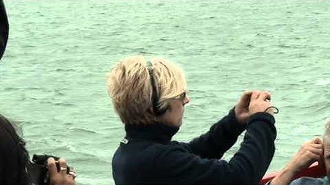 JOJOSQATSI - 11 Philip Glass - Slo Mo People