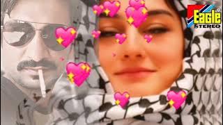 HUM KO AWAZ DE(KUMAR..ALKA)(..MR.AASHIQ...)EAGLE ULTRA CLASSIC JHANKAR