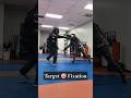 Target Fixation: Rapier & Dagger #hema #sword #martialarts