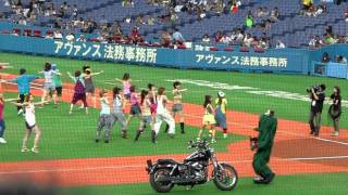 ゴーヤとハムリンズ (2010.8.27) ゴーヤとハムリンズ (2010.8.27)