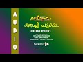 Thechi Poove - Radholsavam - Suresh Gopi, Vijaya Raghavan, Maathu - High Quality Malayalam Audio