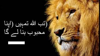 Muhammad Sallalaho Alehe Wasallam Se Muhabbat