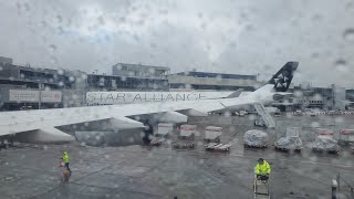 Landing at Frankfurt International Airport | A340-300