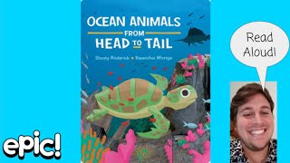 Ocean Animals from Head to Tail Read Aloud