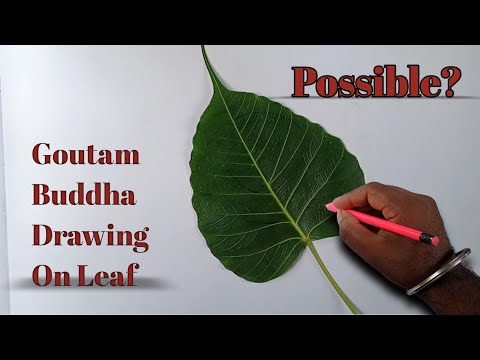 Goutam Buddha Drawing