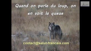 Французская премудрость #4 | Quand on parle du loup | Местоимение on