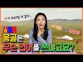 [ENG] EP19 몽골은 무슨 언어를 쓸까? 몽골어의 모든 것 (feat. 꼭 하고 싶었던 말)