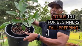 Citrus 101 for beginners  Fall Prepping