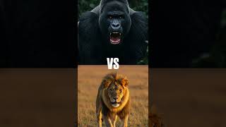 Great Apes Vs Big Cats Only One Survives