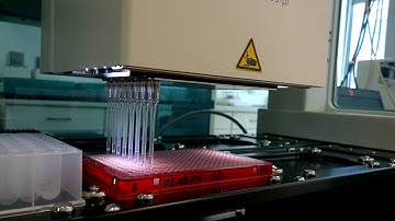 Analytik Jena CyBio FeliX setting up 384 QPCR master mix